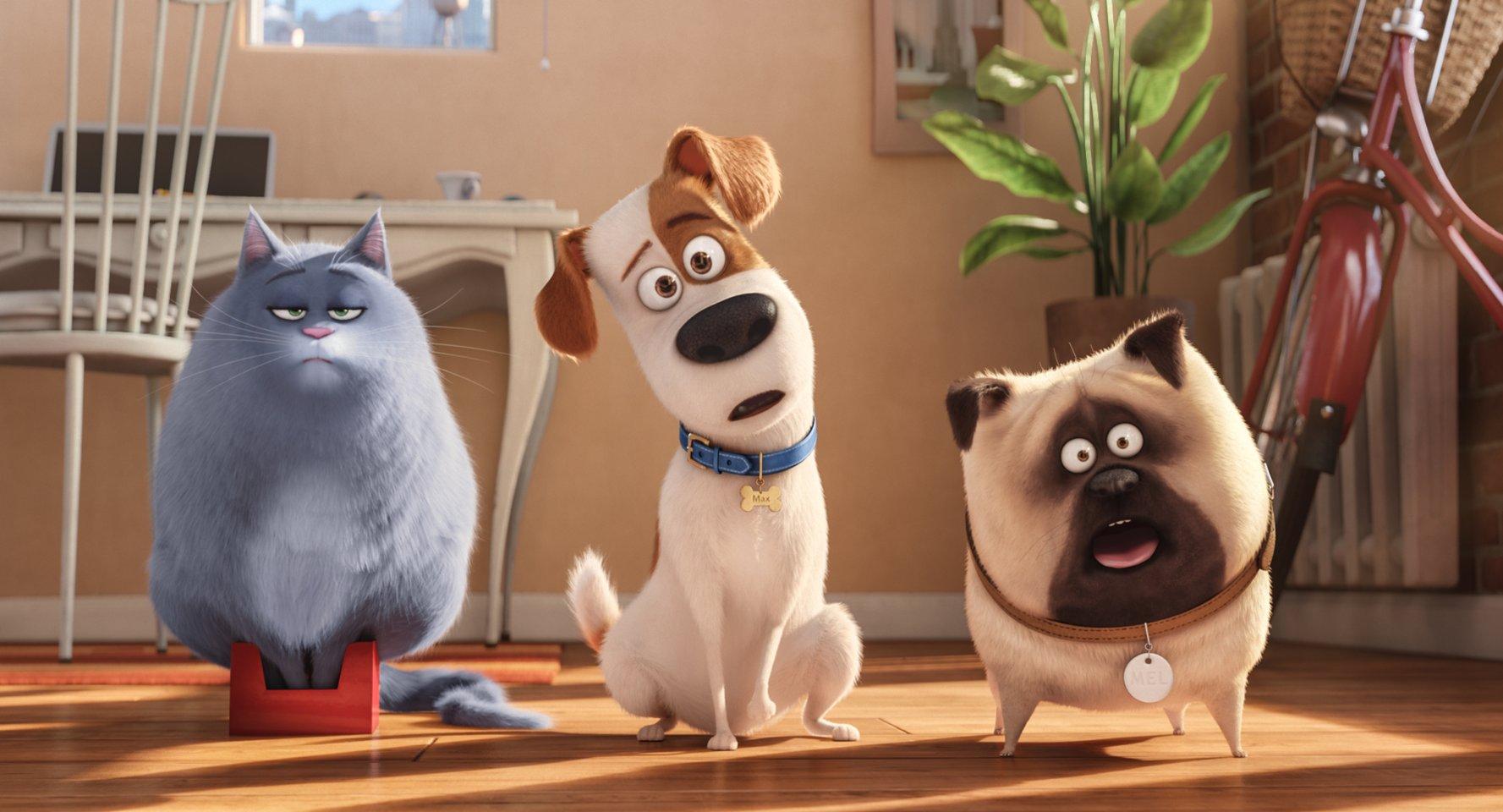 Chloe (voiced by Lake Bell), Max (Louis C.K.), and Mel (Bobby Moynihan) are the three of the stars in