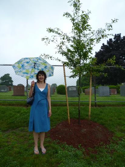 Cunniff School third-grade teacher Debbie Munger stands next to the new Black Gum tree
donated by the town in honor of her friend and colleague Beverly DiMascio, who died in 2011.